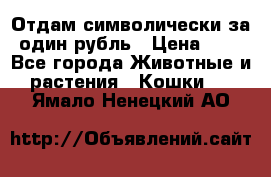 Отдам символически за один рубль › Цена ­ 1 - Все города Животные и растения » Кошки   . Ямало-Ненецкий АО